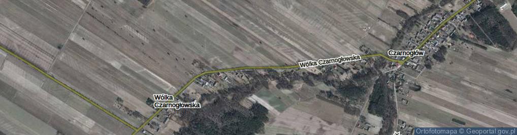 Zdjęcie satelitarne Wólka Czarnogłowska ul.